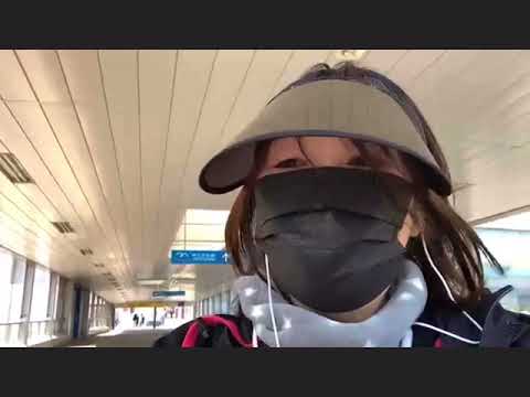 りんぐのニコ生【2021.5.3】ワタリドリ・ アカペラで歌ってみた