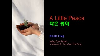 작은 평화 (A Little Peace, Nicole Flieg, 가사 해석)