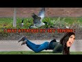 STORY TIME - I Was Attacked By Geese After Giving Birth!!!
