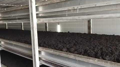 GTM phase III compost head filling machine