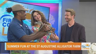 St. Augustine Alligator Farm has summer fun for the whole family
