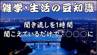 【雑学】【聞き流し】雑学・生活の豆知識…その他、取りまとめ集。睡眠・作業用・脳トレにも。