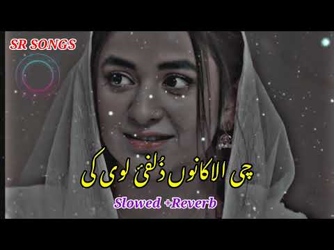 Che alakano zulfe loye k tapay slowed reverb | SR SONGS