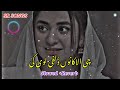 Che alakano zulfe loye k tapay slowed reverb | SR SONGS Mp3 Song