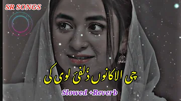 Che alakano zulfe loye k tapay slowed reverb | SR SONGS