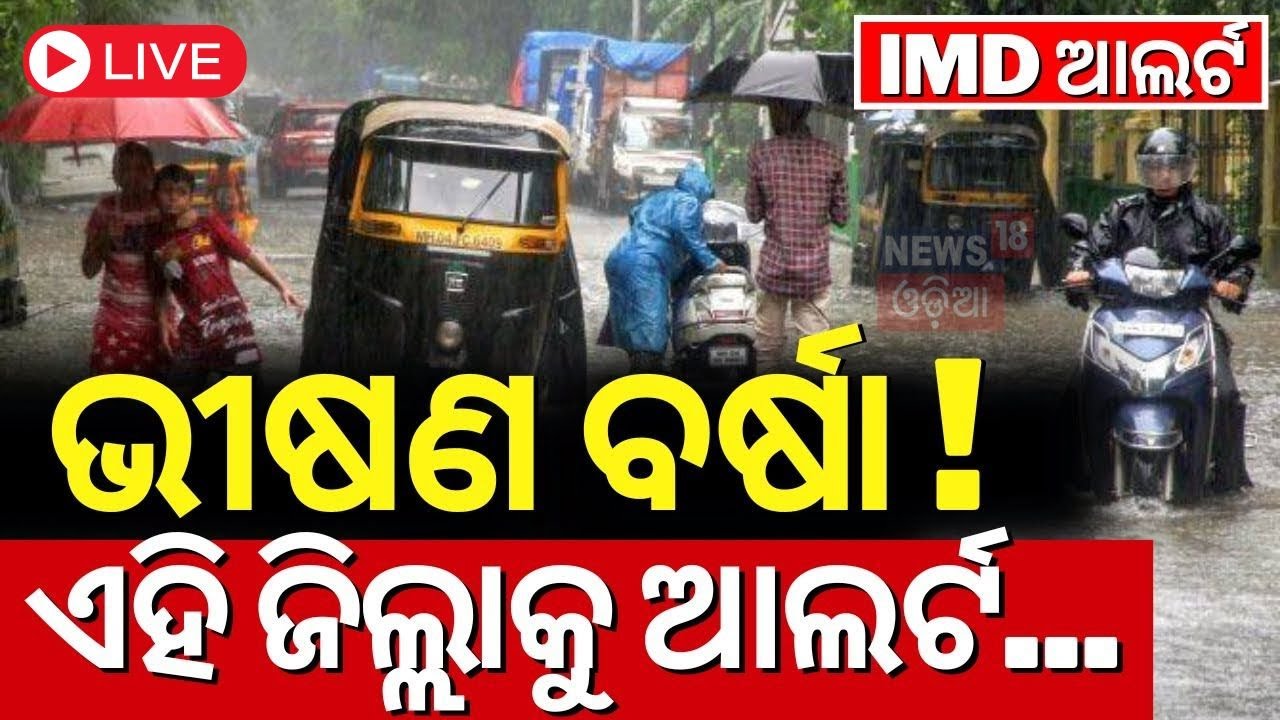 LIVE | Odisha Weather News |ଏହିସବୁ ଜିଲ୍ଲାରେ ପ୍ରବଳ ବର୍ଷା|Low Pressure Alert; Heavy Rainfall In Odisha