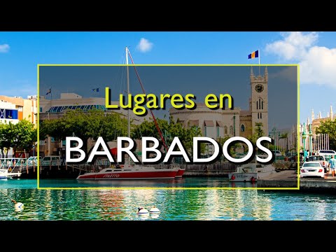 Video: Las mejores playas de Barbados