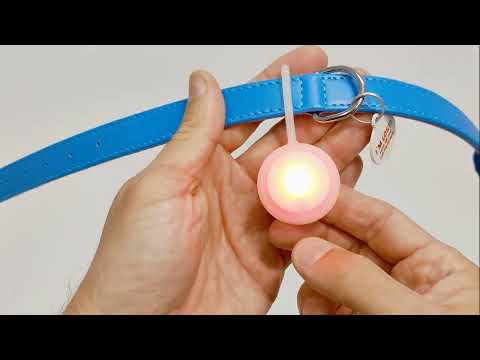 Ліхтарик для собак і котів WAUDOG LED, в силіконовому чохлі, що світиться, видео 1