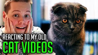 REACTING to my old CAT videos! 😺