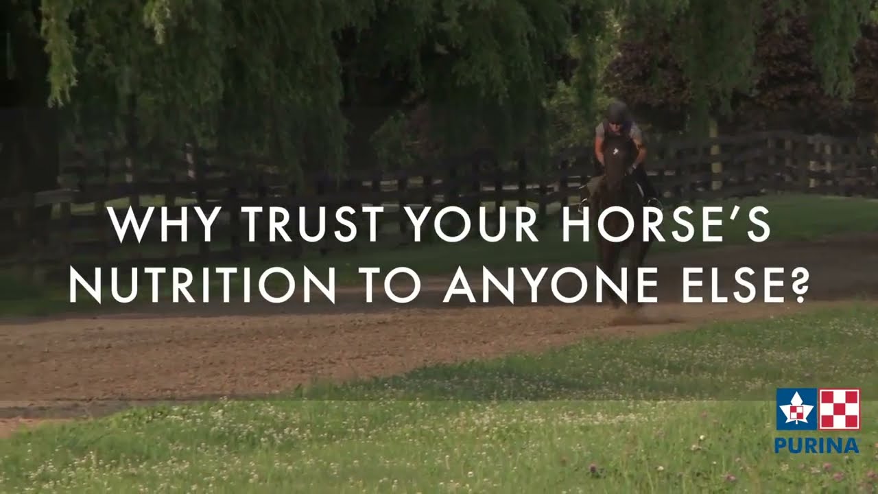 Purina® Canada Equine — Feed Safety