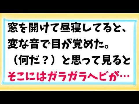 【スカッとする話　武勇伝】窓を開けて昼寝してると、変な音で目が覚めた。（何だ？）と思って見るとそこにはガラガラヘビが…