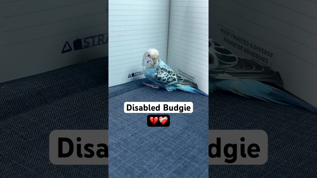 Recovering ❤️‍🩹 