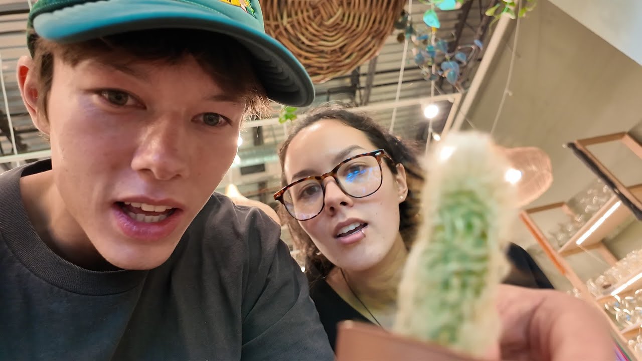 filler episode vlog