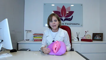 Como é feita a fisioterapia para Vulvodinia?