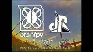 AWK210 Maiden FPV BrainFPV RE1 dRonin