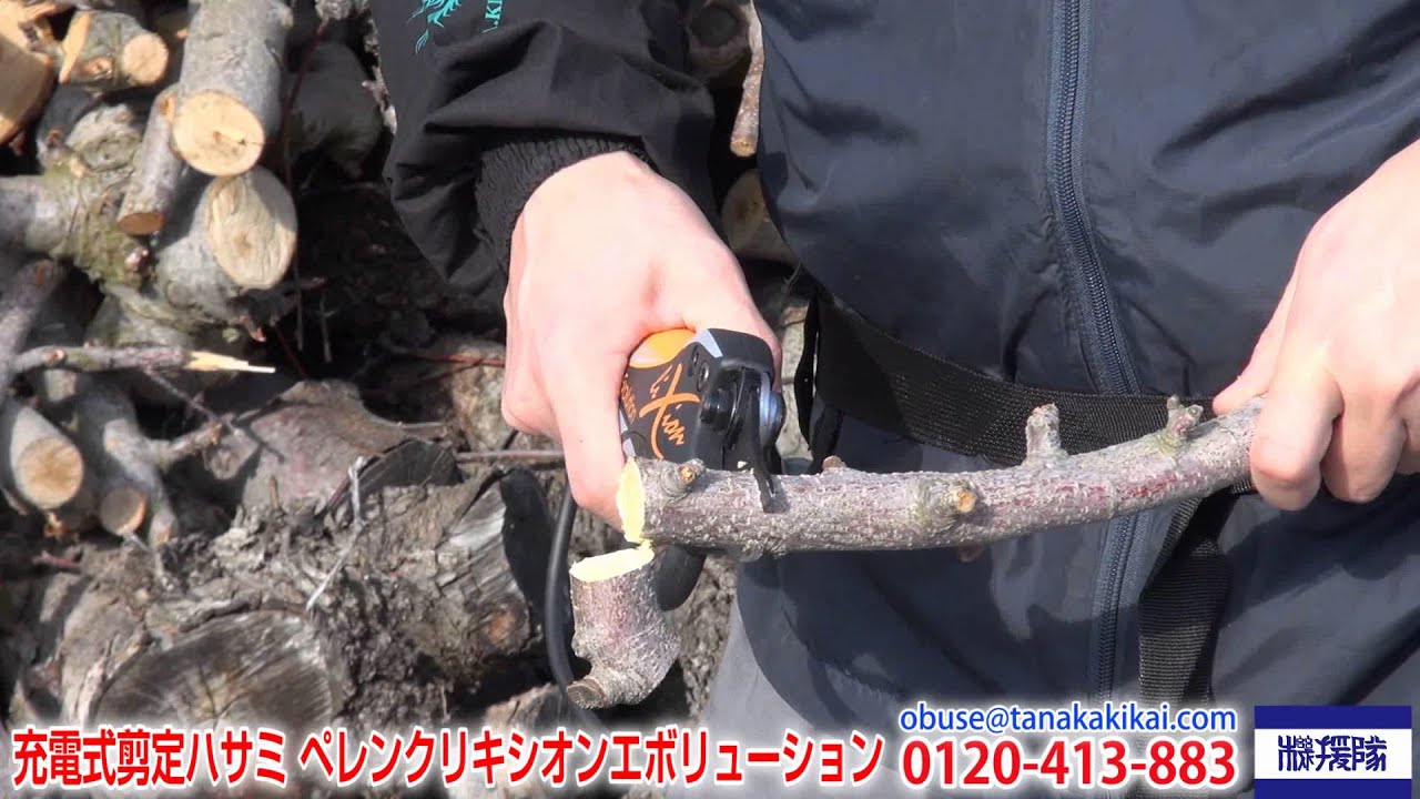 ニッカリニッカリペレンクVINION ヴィニオン ULB150