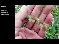 End of video