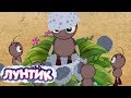 Лунтик | История малышей 🍼 Сборник мультфильмов для детей