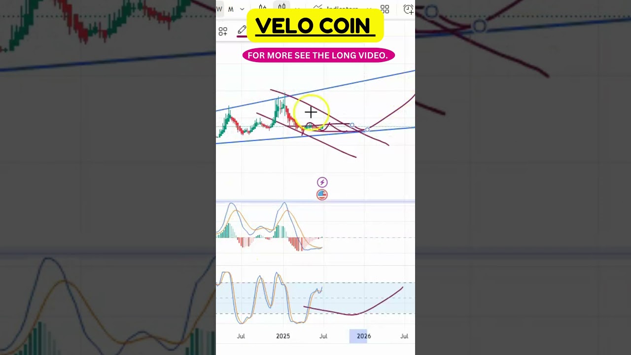 Technical Updates You Can’t Miss: VELO Analysis !