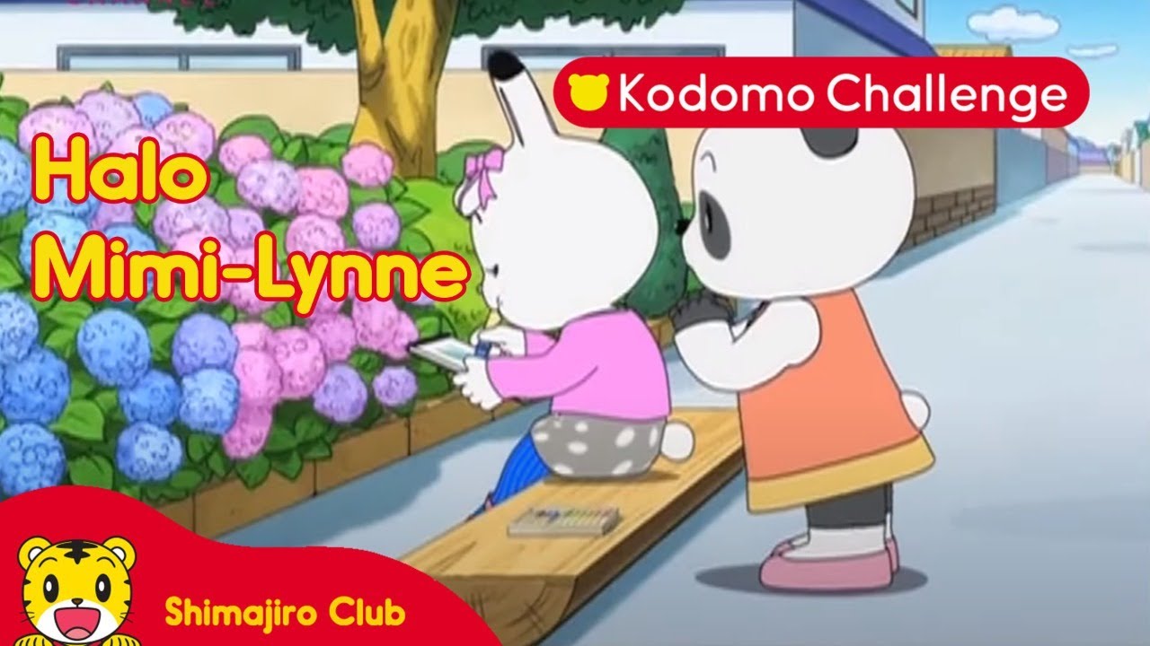 Shimajiro | Pendidikan Anak | Halo Mimi-Lynne Ep. 91.3 - Kodomo Challenge