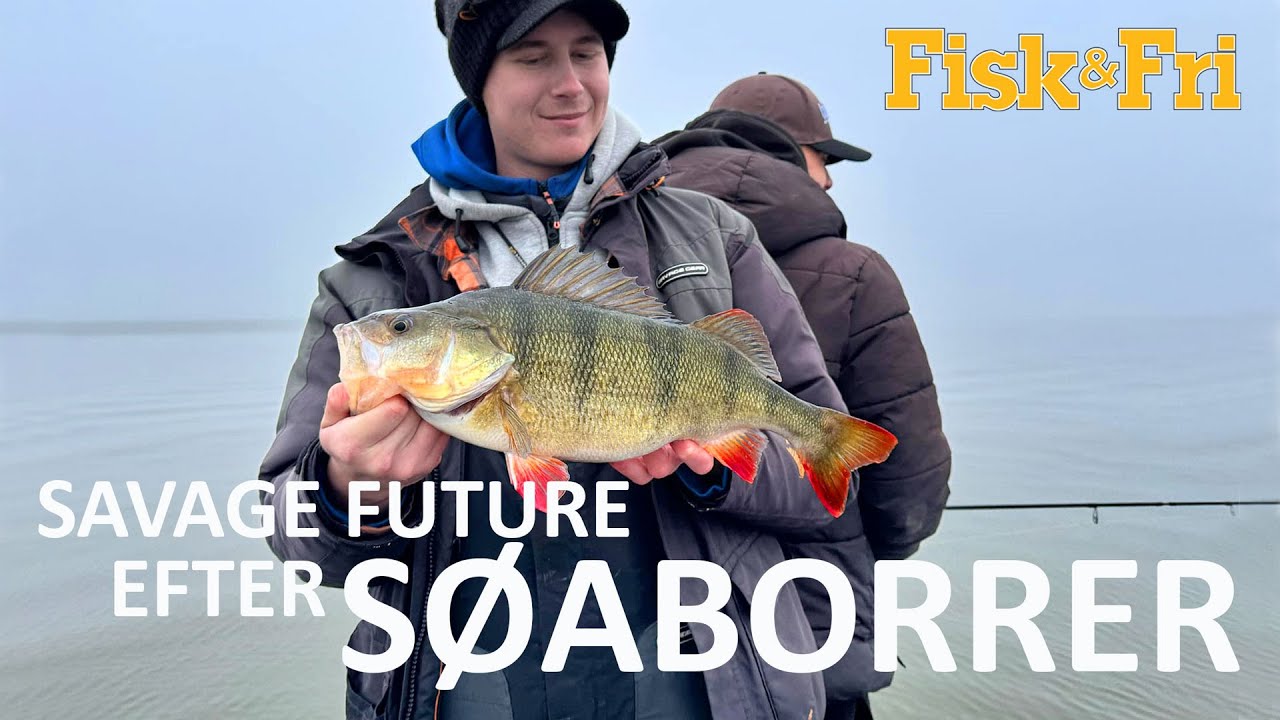 SØFISKERI EFTER ABORRER MED SAVAGE FUTURE [ENG SUBS]