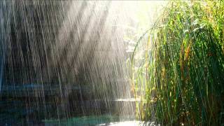 Sonido de la lluvia durante dos hora, con truenos - sound of rain for two hours, without thunder