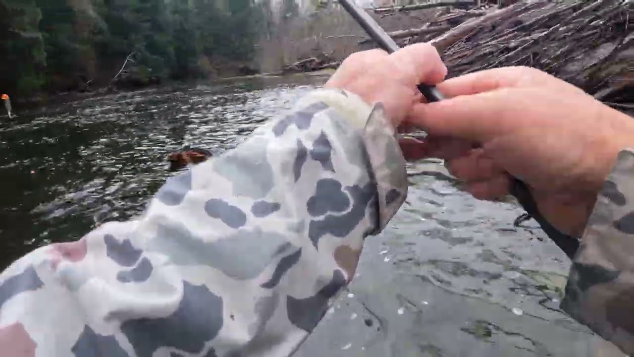 Campers Hear Something HUGE Coming At Them, They Take Off - Look Back And See A Beast