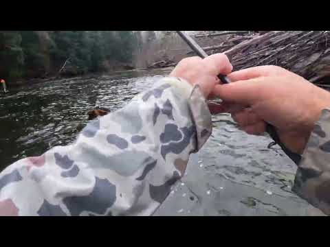 Campers Hear Something HUGE Coming At Them, They Take Off - Look Back And See A Beast