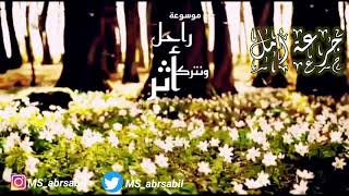 #يوسفيات 29_لا تعاتب كثيراً .. العتاب لا يعيد فائتاً _ الشيخ أحمد حمادي