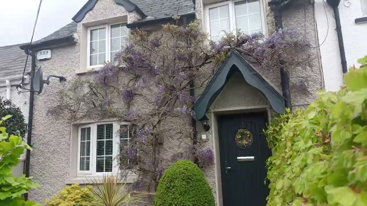 Viral scene Autumn grace heavy love amzing flower 