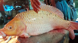 Uzzal Fish Cutting Various types of fish cutting 🐠🐟🐠plese joyan &enyoy my live.#2ufc#fish#vairal.