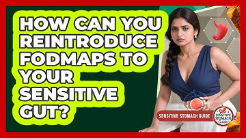 How Can You Reintroduce FODMAPs To Your Sensitive Gut? - Sensitive Stomach Guide
