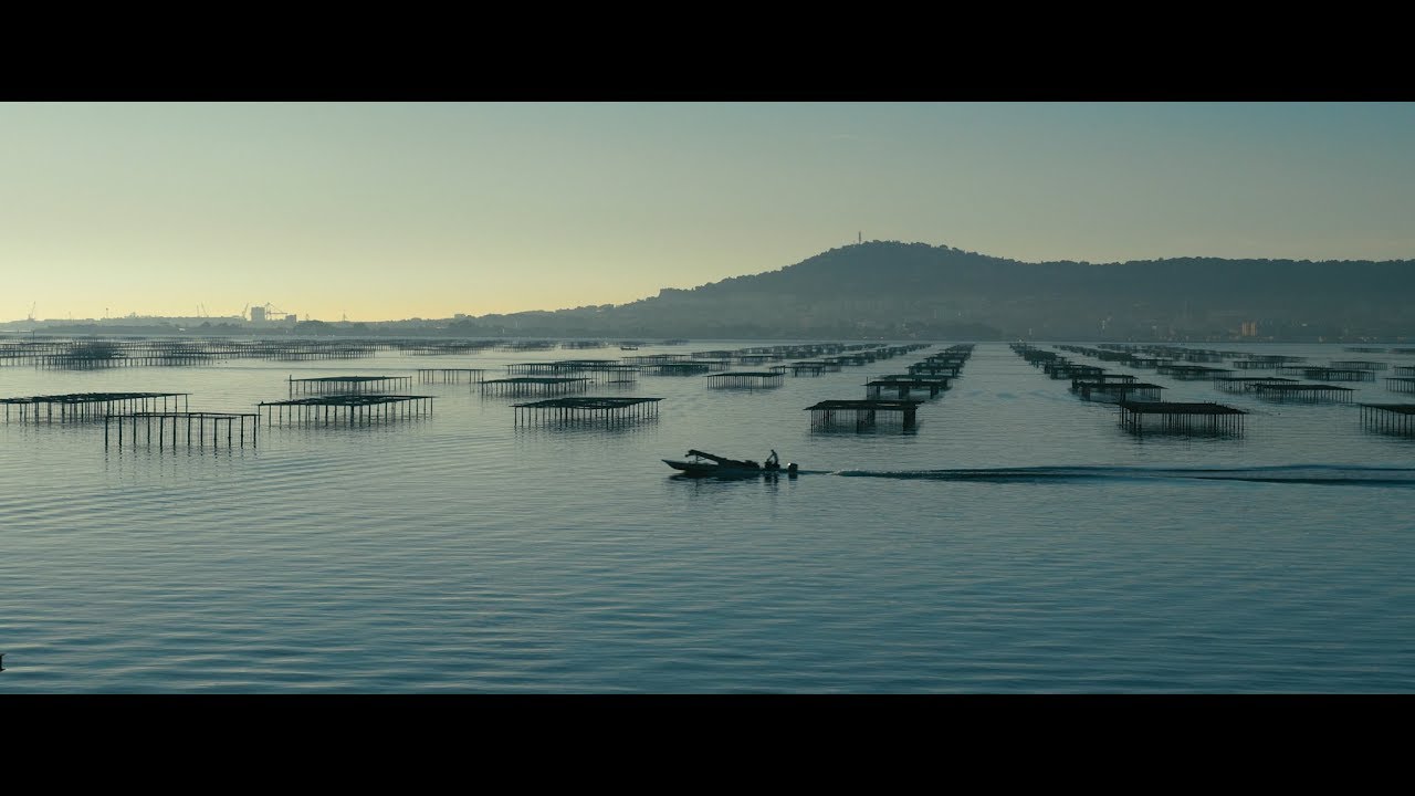 Bande annonce court métrage "D'une rive à l'autre"