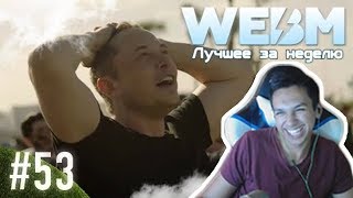 Картман смотрит: Dank WebM Compilation #53
