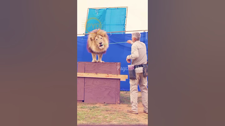 സംഭവം ഒർജിനലാണ് | ഗർർർ | GRRR LION AND KUNCHAKO BOBAN IN SHOOTING #kunchackoboban #surajvenjaramood