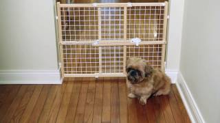 Wood Pet Gates from MidWest Homes for Pets