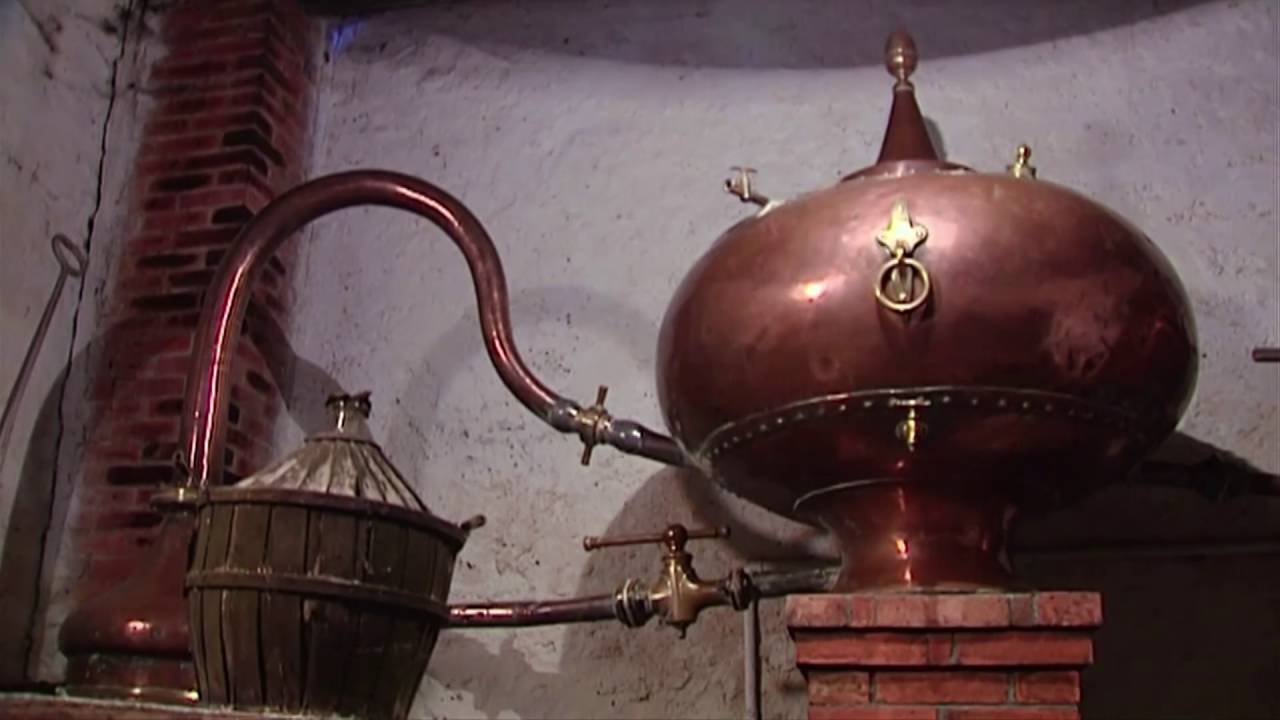 Cap Sud-Ouest - Le Cognac, eau de vie légendaire