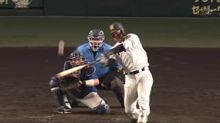 【佐藤を追う】4回裏、#森下翔太 選手のセンターバックスクリーン左に第32号ソロホームラン！【2026/9/5 Ｔ－DB】