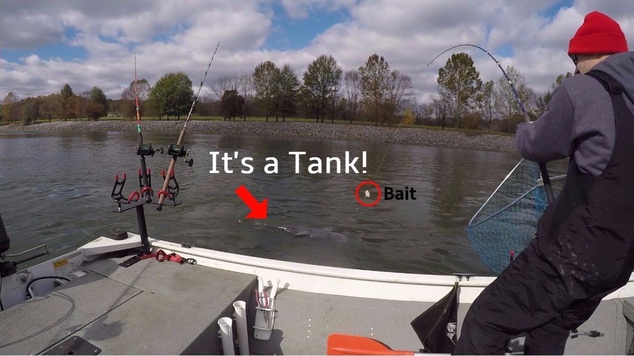 how to catch catfish in texas Go BIG or Go HOME!! Catching a HUGE Catfish on a BIG Chunk of Bait!