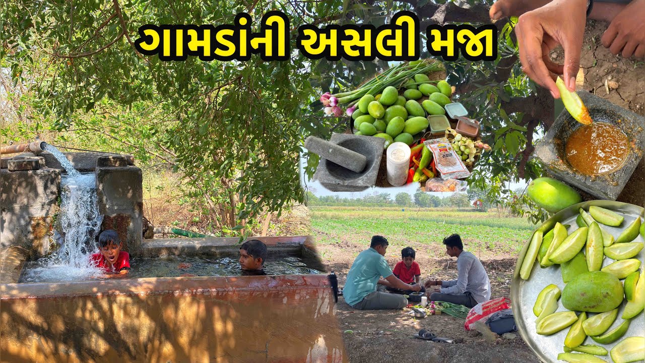 આ છે ગામડાંનીઅસલી મજા Happiness Life Of Village | Farmers Life  In Gujarat