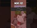 Minecraft AGE Test