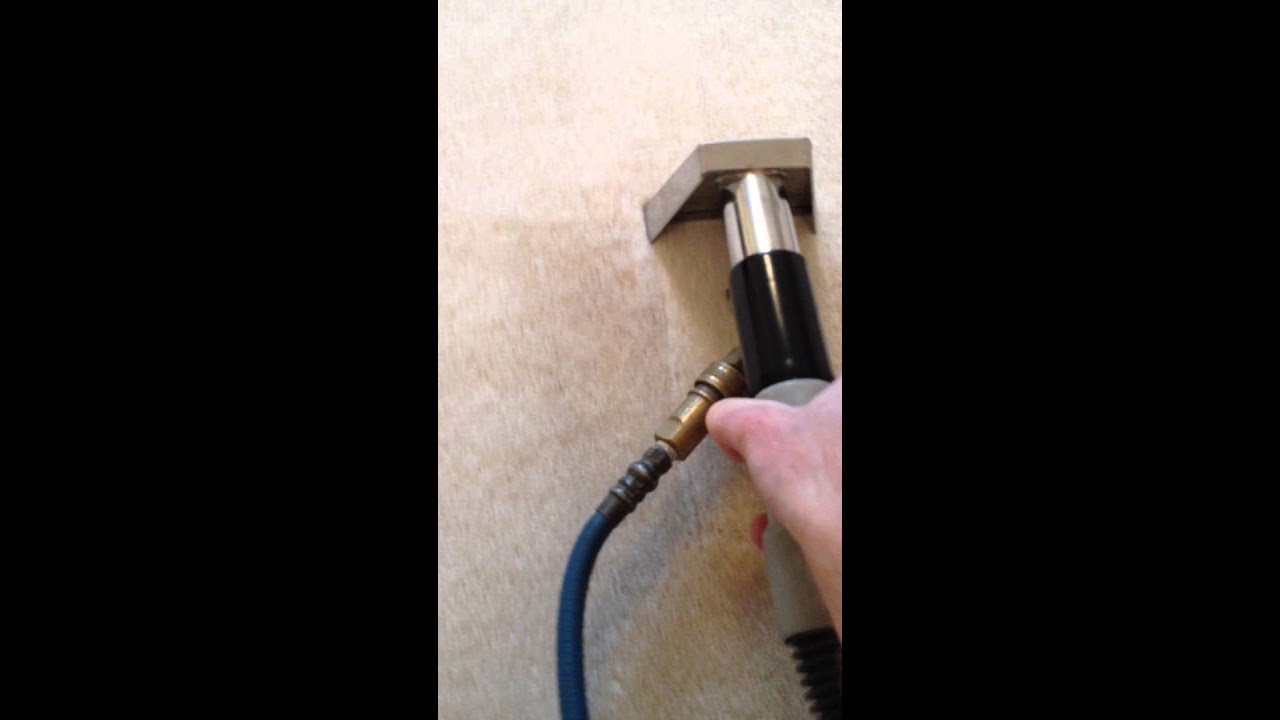 Removing beer stain from lounge carpet in Kenilworth