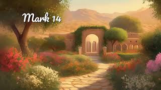 Mark 14+ | Bible Audio | NLT