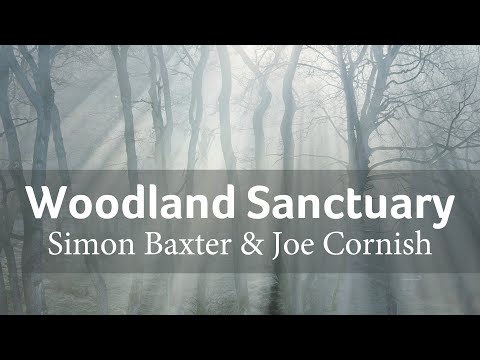 Thumbnail for Woodland Sanctuary with Simon Baxter & Joe Cornish