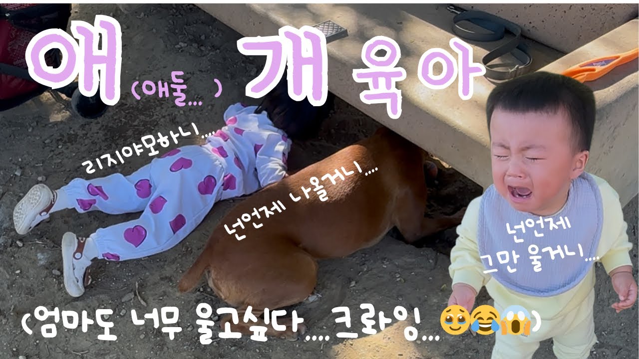 애개육아 vlog (애 둘+반려견 콤보😅😂) 그리고 소소한 할로윈 보내기