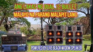 lakas ng dual 12 Bullet Mid Hi speaker & powered by Kevler MZ1000 amplifier