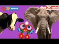 Youtube Thumbnail title