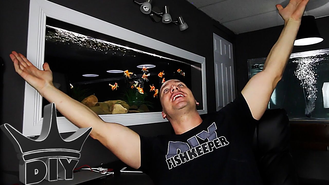 WE DID IT! but what's next?