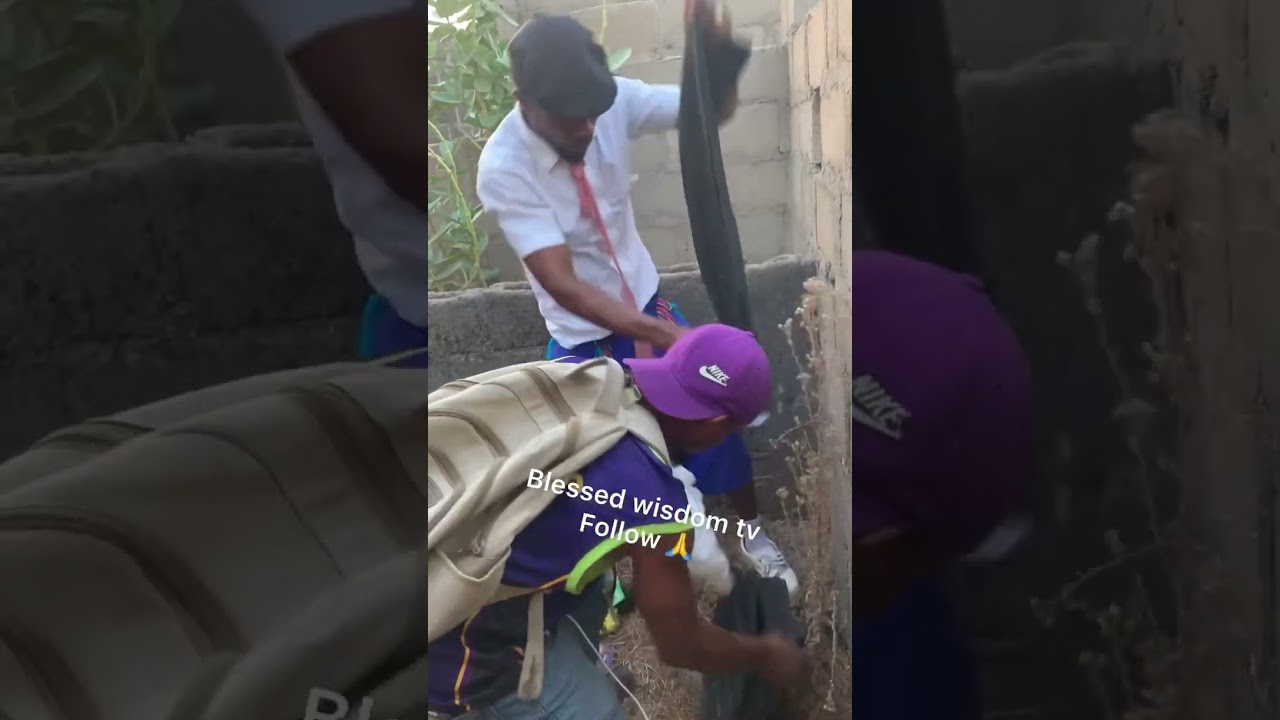 When u think u are wise😂😂 the 2 mumu cr!min@l😂😂