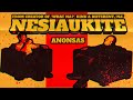 Nesiaukite vol. 36. - Ovidijus Vyšniauskas. Anonsas